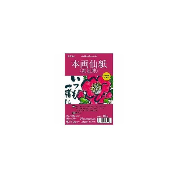 絵手紙用ポストカード 本画仙紙・紅星牌 10枚入 S135c｜maruman 8冊までネコポス便可能
