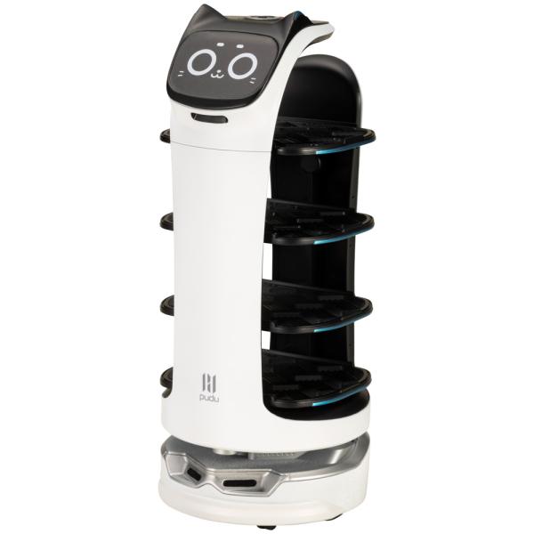 STUDIO WAD グローブポッド ホヤ付き ① studio wad globe pod – CAMPLABO