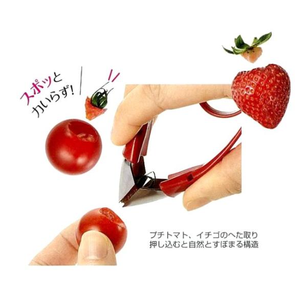 murauchi_4962336610239_2_d_20251011122539