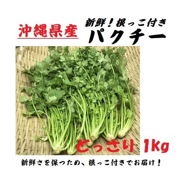沖縄県産 パクチー 1束 1kg F 45 Murunu Shi Online Shop 通販 Yahoo ショッピング