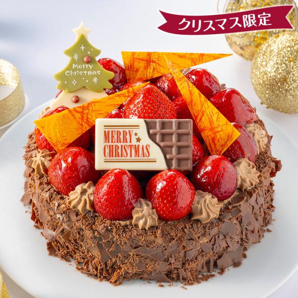 【10月ご予約価格】チョコレートのクリスマスケーキ 直径15cm /ミュゼ・ド・ガトー