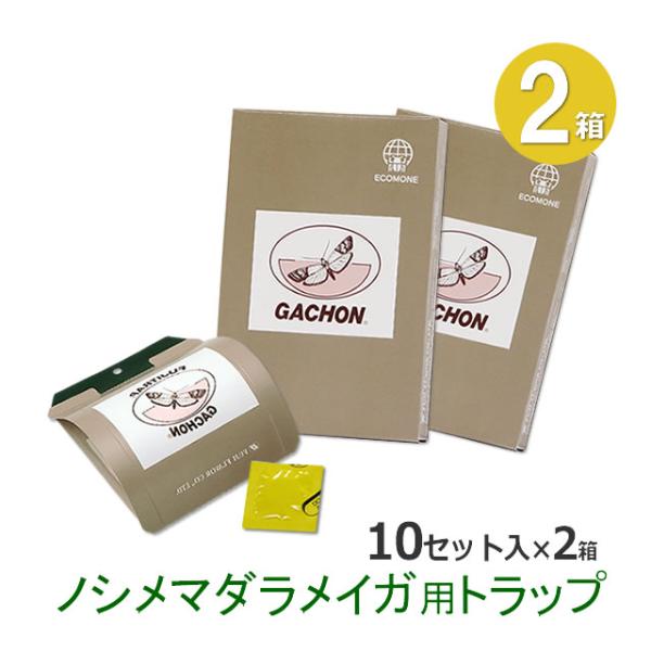 mushi-taijistore_n54083115