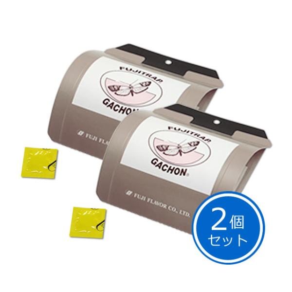 mushi-taijistore_n54083120