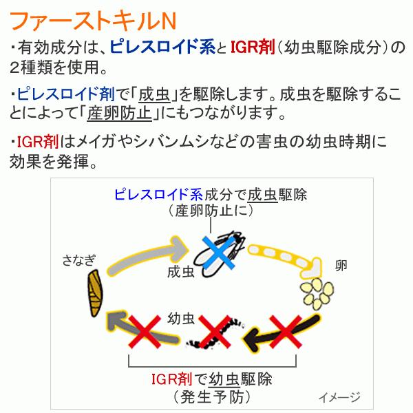 メイガ駆除 ファーストキルn 400ml シバンムシ駆除 プロも使う業務用発生源殺虫剤 メイガ チャタテムシ コクヌストモドキ幼虫 発生源駆除 Buyee Buyee Japanese Proxy Service Buy From Japan Bot Online