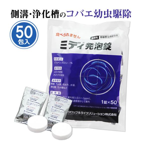 mushi-taijistore_n75108150