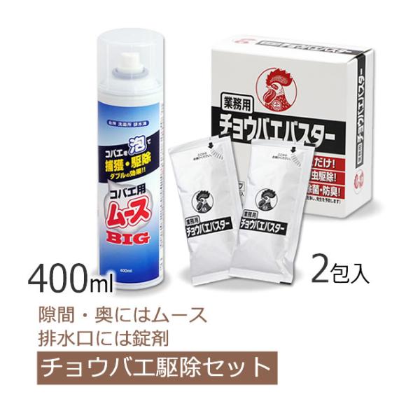 コバエ駆除セット コバエ用ムースbig 400ml チョウバエバスター 25g 2包 排水口 風呂 台所 洗面 チョウバエ コバエ駆除 あすつく対応 N 虫退治 Com Yahoo ショップ 通販 Yahoo ショッピング