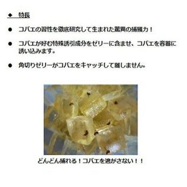コバエ駆除 業務用 コバエがホイホイ 160g 4個セット コバエ取り コバエ退治 コバエ対策 アース製薬 Buyee 日本代购平台 产品购物网站大全 Buyee一站式代购 Bot Online