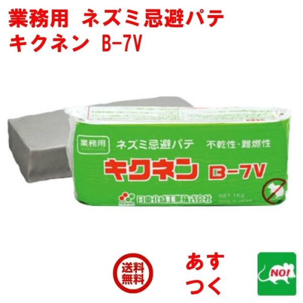 ˂݋쏜 Ɩp lY~pe LNl B-7V 1kg H 