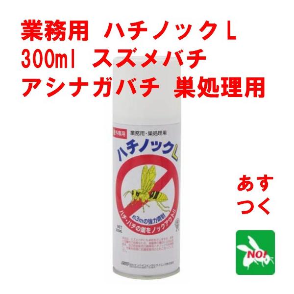 n`쏜 Ɩp n`mbN L 300ml I E Xv[ ZGoC^TCGX