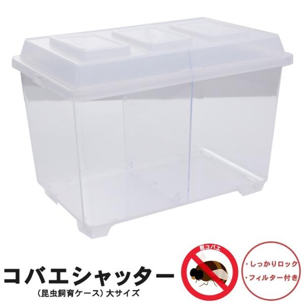 コバエシャッター「昆虫飼育ケース」大サイズ 内部仕切りなし : むしや