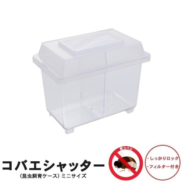 コバエシャッター「昆虫飼育ケース」ミニサイズ 内部仕切りあり