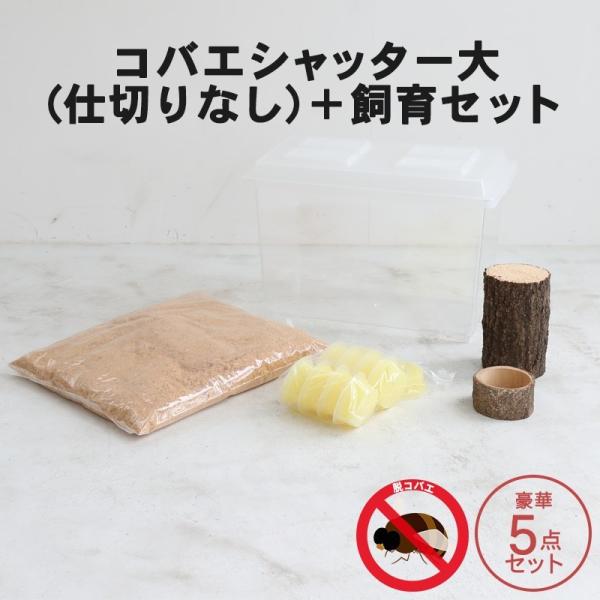 コバエシャッター「昆虫飼育ケース」大サイズ 内部仕切りなし 豪華5点