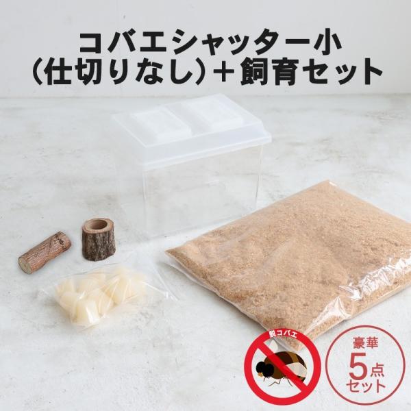 コバエシャッター「昆虫飼育ケース」小サイズ 内部仕切りなし 豪華5点