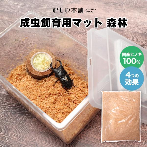 カブトムシ・クワガタ成虫飼育用「昆虫マット森林 1.5L」 床材、カブトムシマット