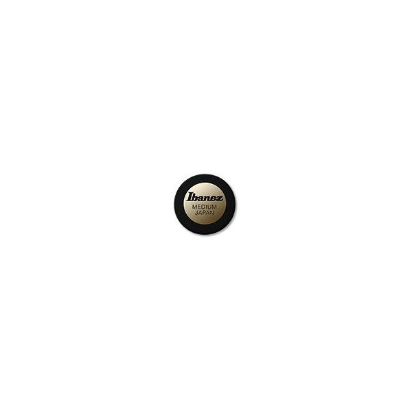 Ibanez circle Shaped pick for Bassist PA1M-BK ��10���Z�b�g �A�C�o�j�[�Y �s�b�N