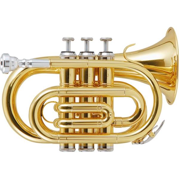 Kaerntner／Pocket Trumpet KTR33P Gold 入門セット付き (譜面台、教則DVD、教則本、ミュート、ラッカーポリッシュ)　ケルントナー トランペット