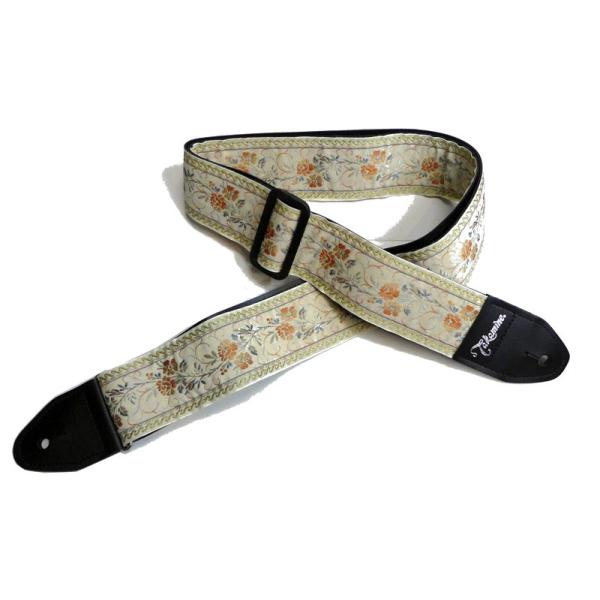 Takamine M^[Xgbv TGS-6 HW (zCgj