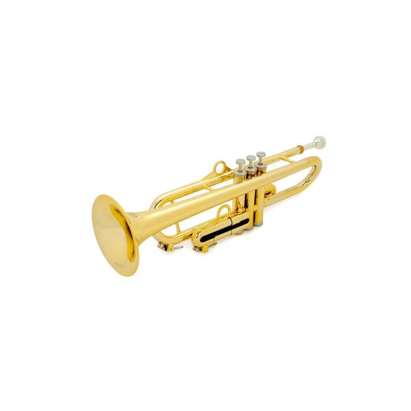 pInstruments �s�[�C���X�g�D�������c �v���X�`�b�N���Ǌy�� B��g�����y�b�g pTrumpet hyTech �S�[���h PTRUMPET1HTG (�L�����[�o�b�O�t��) �y�������K�i�z