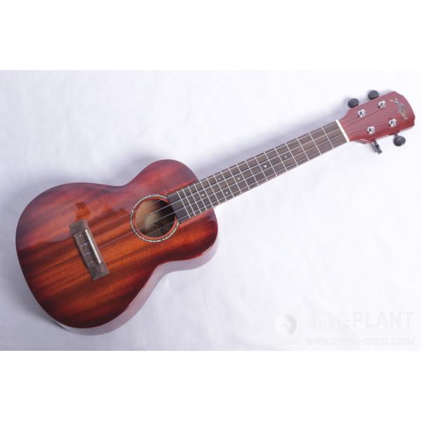 Argus(アーガス) AC-5 Concert Ukulele : ミュージック プラント Yahoo