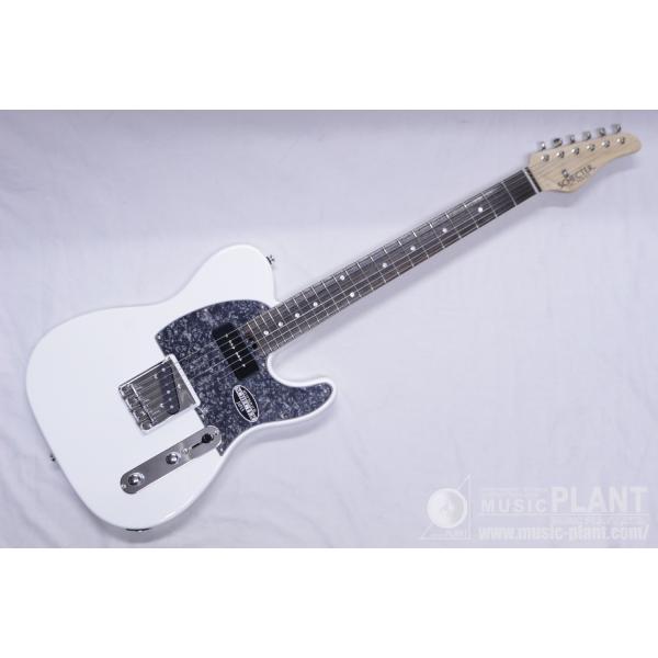 SCHECTER SCHECTER(シェクター) OL-PT-P90 : ミュージック プラント