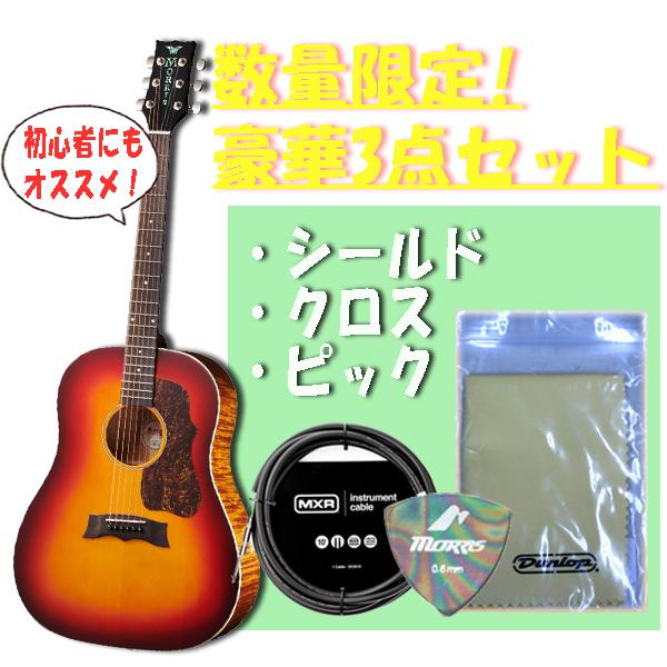 Morris モーリス G-021E RBS エレアコ 新品 Morris(モーリス) ／ G-021E RBS エレアコ 数量限定特典付き の