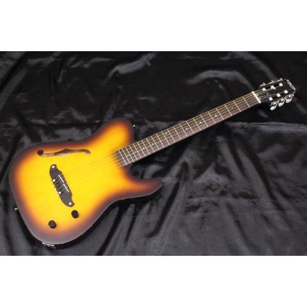 SCHECTER 新品 SCHECTER(シェクター) / OL-FL-N-P TSB ナイロン弦