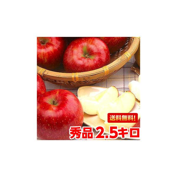 쌧Y VimXC[g Gi2.5kg
