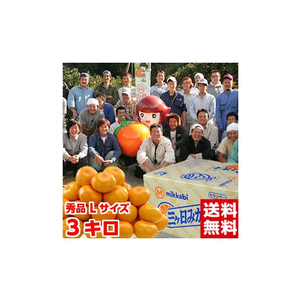 Ε Mtg OP݂ij GiLTCY3kg