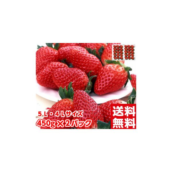 ●商品内容：静岡県産 大粒章姫(あきひめ)いちご約450ｇ(12〜15粒)×２パック●配達希望日について：収穫後、すぐの発送になるためお受けできません。●時間指定について：時間指定の関係でお届けまで2日かかってしまう場合は、変更をお願いする...