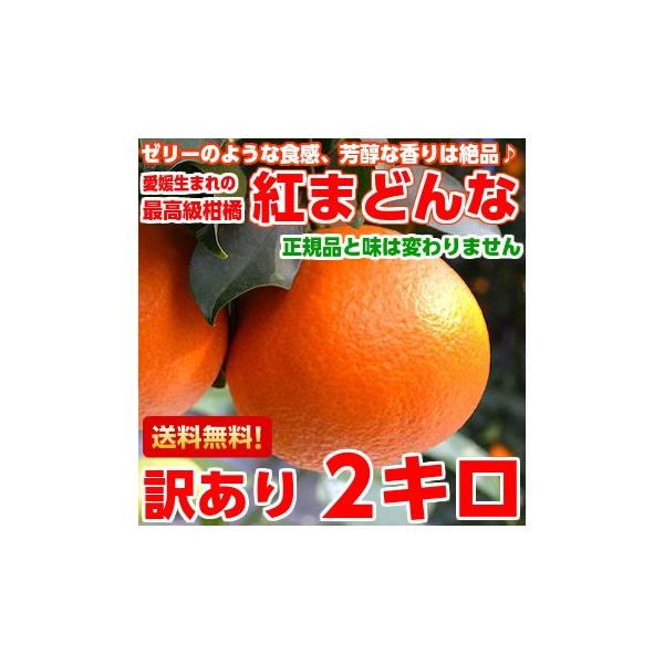 Ε Mtg QY g܂ǂ 󂠂2kg