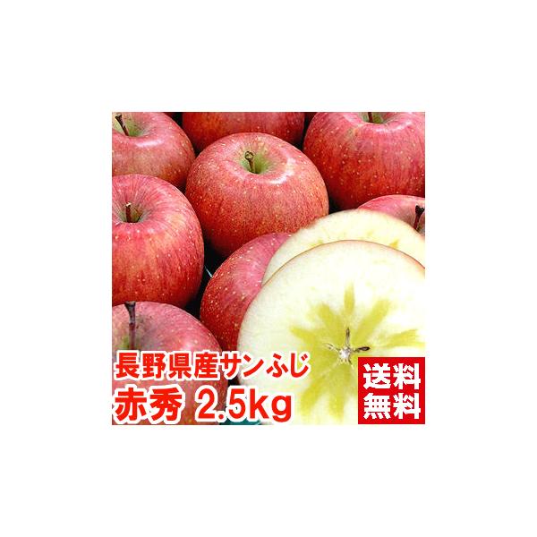 サンふじ りんご 2.5kg