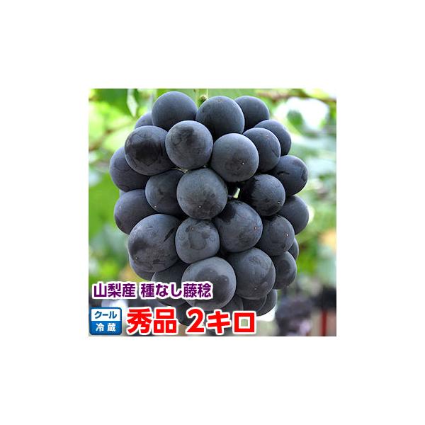 山梨県産 藤稔（ふじみのり）秀品3Lサイズ2kg（冷蔵配送）