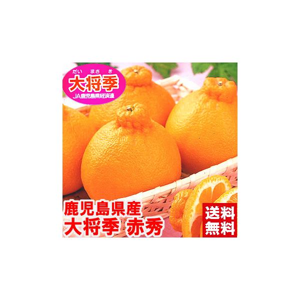 ■商品内容：鹿児島産 大将季（だいまさき）赤秀約5kg（15〜20個）※5kgは農協箱のため、多少重さの増減がございます。■送料について：送料無料（北海道・沖縄、一部離島1,000円）■配送期間：1月23日〜2月21日頃まで※デコが特徴のみ...