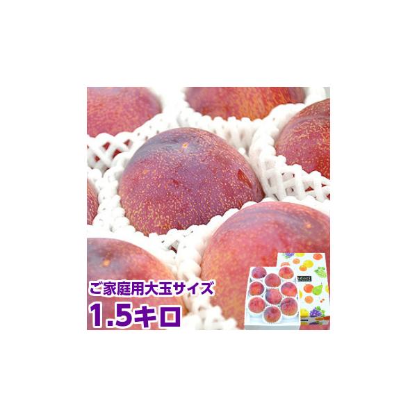 山梨県産 貴陽 大玉5入 楽天市場】【ふるさと納税】 【2025年発送先行予約】高級すもも