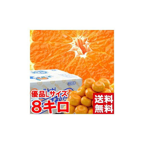 Ε Mtg OP݂ij DiLTCY 8kg