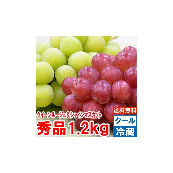 クイーンルージュ＆シャインマスカット 秀品 大房１.2Kg（2房入）