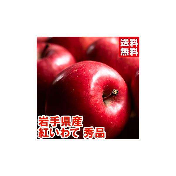岩手県産 大玉 紅いわてりんご 秀品5kg