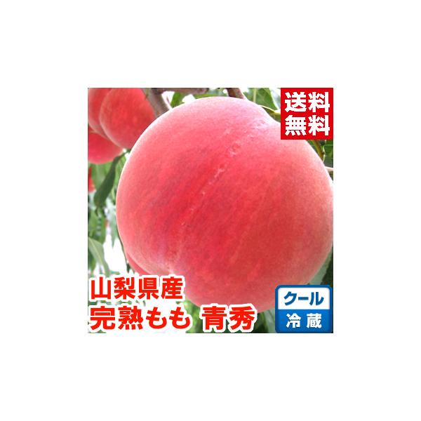 （冷蔵便）お中元 ギフト 山梨県産 ふえふきの完熟もも 青秀1.6ｋｇ