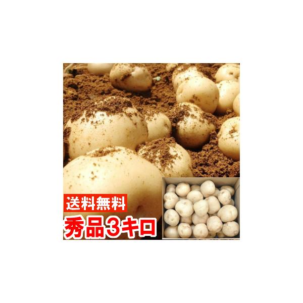 静岡県産 三方原馬鈴薯 Mサイズ 秀品3kg
