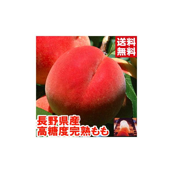 長野県産 高糖度完熟もも 特秀2.5kg