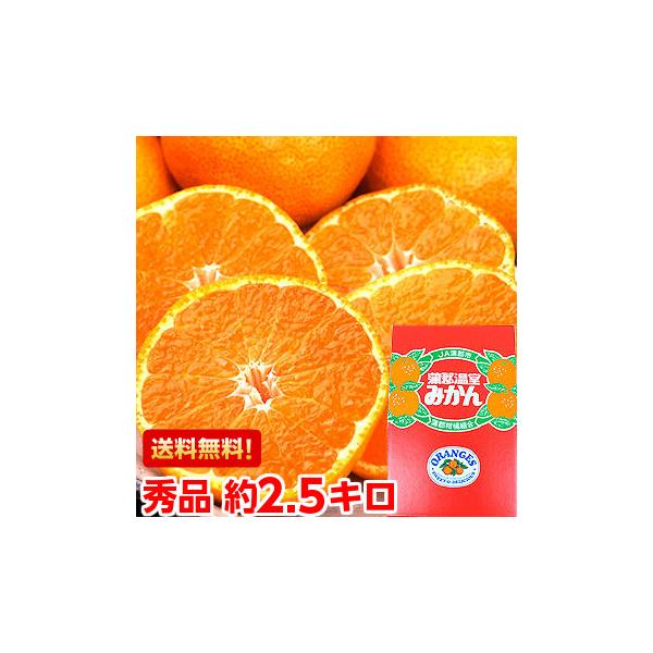 お中元 ギフト 愛知県産 蒲郡温室みかん 約2.5kg