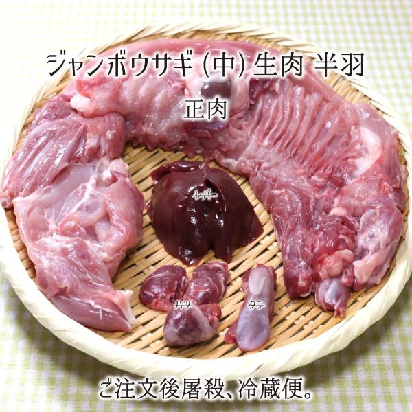 ジャンボウサギ 中型 半羽 生肉 正肉 約650g 秋田県大仙市産 むね もも うで はら 腎臓 国産 兎 ラパン 送料無料 Akhn311 産直 むすび 通販 Yahoo ショッピング