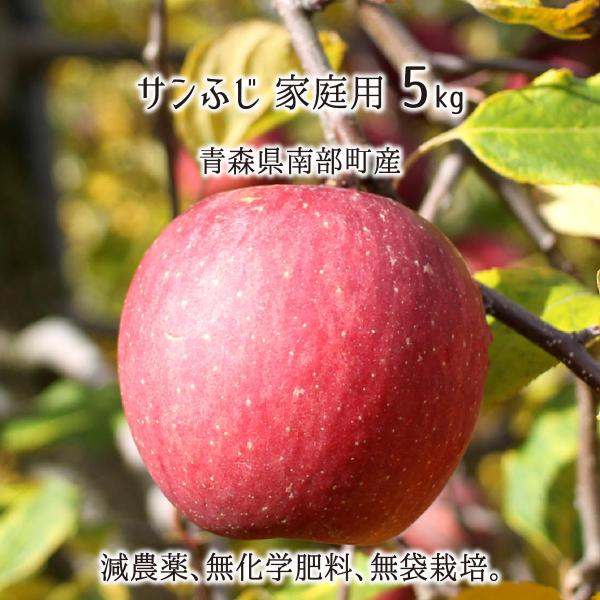 Tӂ 󂠂 5kg _ w엿 X암Y  ƒp 13`20 12{`3{ 