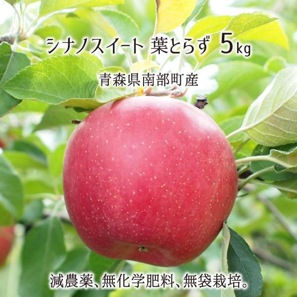 VimXC[g tƂ炸 5kg _ w엿 X암Y  13`20 10{`1{ 