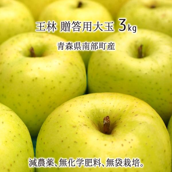  Gi  3kg _ w엿 X암Y  p 7`9 12{`2{ 