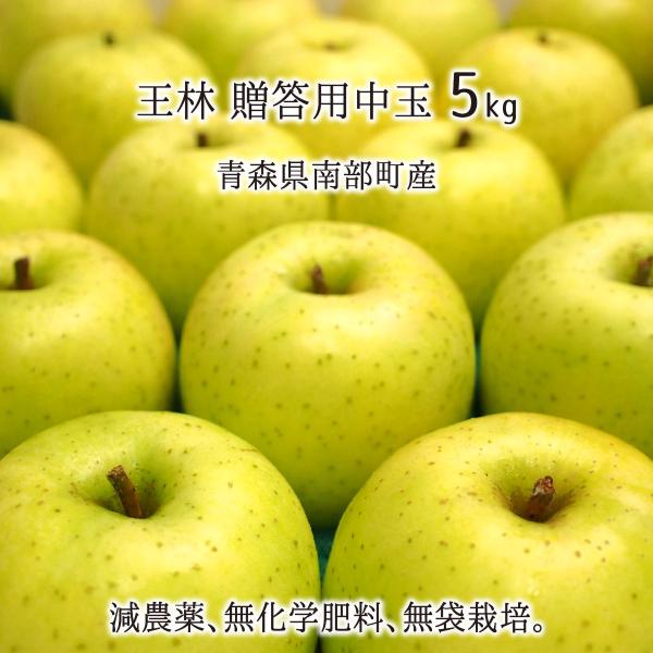  Gi  5kg _ w엿 X암Y  p 18`20 12{`2{ 