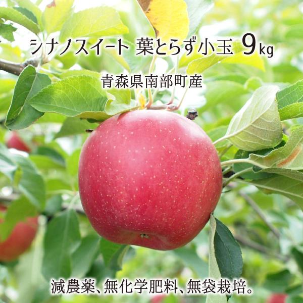 VimXC[g tƂ炸() 9kg _ w엿 X암Y  ƒp 10{`1{ 