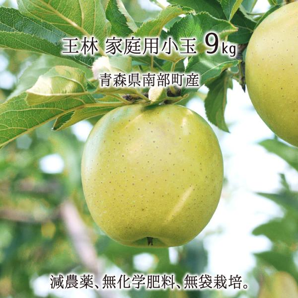  󂠂() 9kg _ w엿 X암Y  ƒp 46`60 12{`2{ 