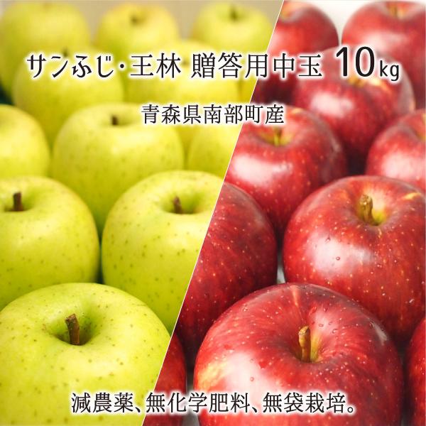 Tӂ/ Gi  10kg _ w엿 X암Y  p 36`40 12{`2{ 