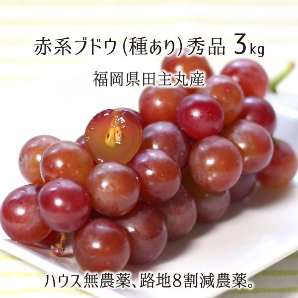 ブドウ 農薬の人気商品 通販 価格比較 価格 Com